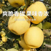【维纳斯苹果】单果饱满 黄金成熟度 甜脆兼具 风味物质充足 4.5斤彩箱（8-12枚） 商品缩略图0