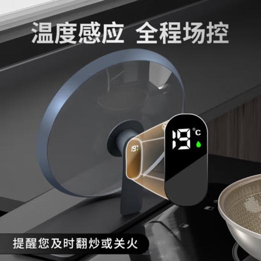 德博莱双面花钛锅DBL-SCGRT001 商品图4
