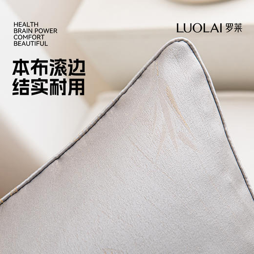 罗莱软装 璀璨星空高级灰抱枕 商品图3