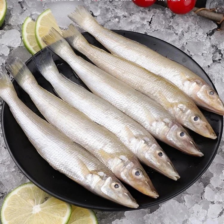 【京东顺丰包邮】78到手3斤野生小沙丁鱼 胶东半岛纯净水域野生捕捞 新鲜发货 号称“小肉球” 圆鼓鼓的身体全是蒜瓣肉 没有小刺和毛刺 肉质细嫩基地直邮