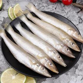 【京东顺丰包邮】78到手3斤野生小沙丁鱼 胶东半岛纯净水域野生捕捞 新鲜发货 号称“小肉球” 圆鼓鼓的身体全是蒜瓣肉 没有小刺和毛刺 肉质细嫩基地直邮