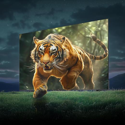 海尔（Haier）电视 75A60C 商品图5