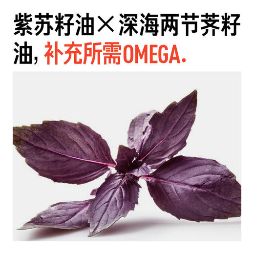 【体验装】厚脸皮乳 2.0 10ml 商品图4