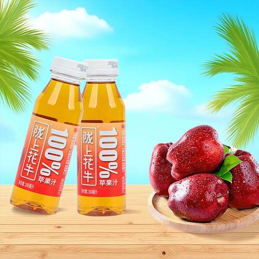 陇上花牛100%苹果汁 300ml/瓶 商品图3
