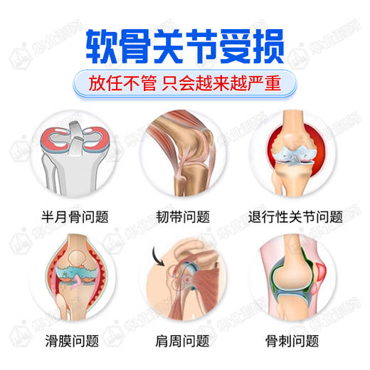 非变性2型骨胶原蛋白复合片 60片/盒 商品图3