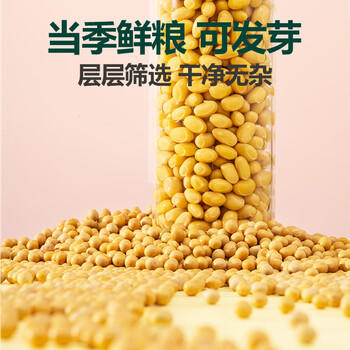 北纯 精制黄豆2斤/袋（高膳纤高叶酸可发豆芽打豆浆东北大豆杂粮 ） /粮油调味 /杂粮 /杂豆类 商品图0