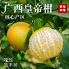 【皇帝柑】核心产区直发 果园现摘 果肉细嫩易吸收 补充营养优选 3-5斤（果径：60-65mm） 商品缩略图1
