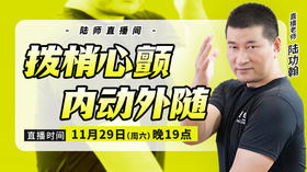 【11月29日】拨梢心颤  内动外随