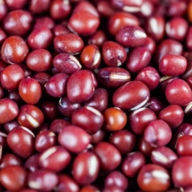 悦意有机红小豆 慈心种植五谷杂粮粗粮