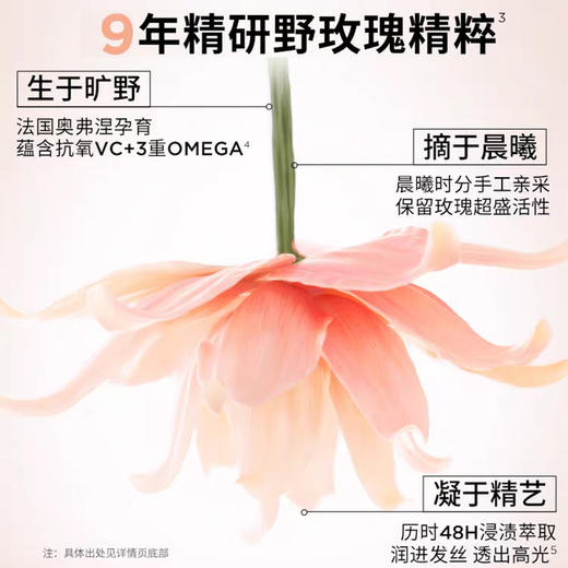 卡诗釉光玫瑰洗发水净油补水抗毛躁柔顺蓬松无硅油 商品图4