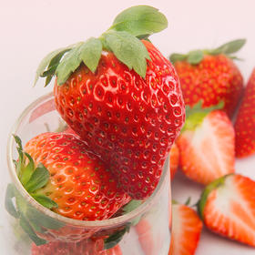 丹东有机草莓 9年有机种植水果现摘现发不催熟不打蜡水果【京东空运】