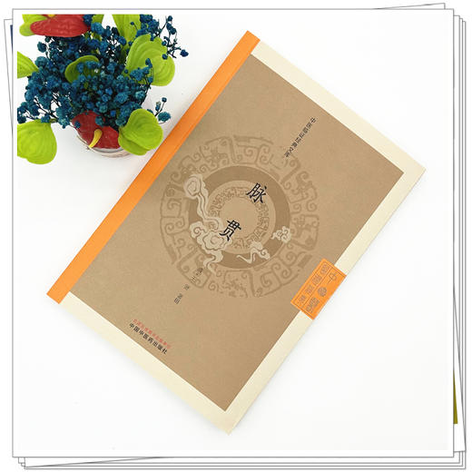 脉贯 (清)王贤 著辑 （中医临证经典文库）中国中医药出版社 明清中医临证小丛书 古典医籍 书籍 商品图1