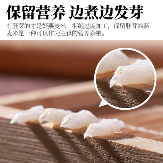 人民 瓶装有机胚芽燕麦米400g 商品图2