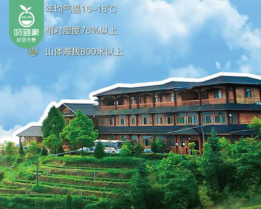 泉州安溪|华祥苑茶庄园商务房1间/1晚（周末不用补差）【叼生活】 商品图1