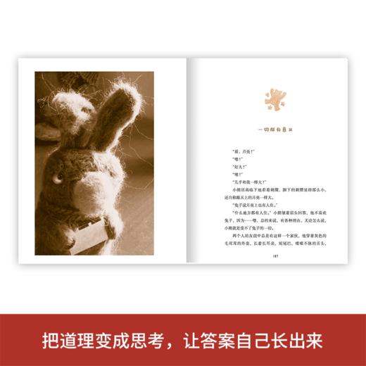 刺猬和小熊 百班千人71期四年级4年级名师推荐课外书必读正版授权（按需加入购物车自选） 商品图4