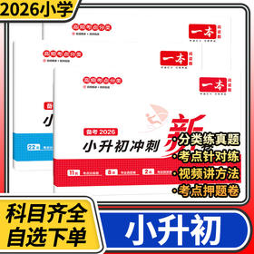 小升初冲刺新卷 一本小学毕业升学总复习试卷语文数学英语名校真题试卷六年级总复习小升初