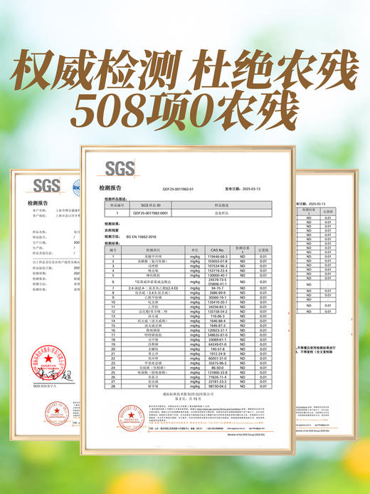 每日乔安 九蒸九晒有机黄精 商品图5