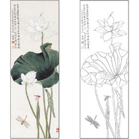 工笔画白描底稿于非闇花鸟荷花《白荷蜻蜓》临摹勾线高清打印稿FA47