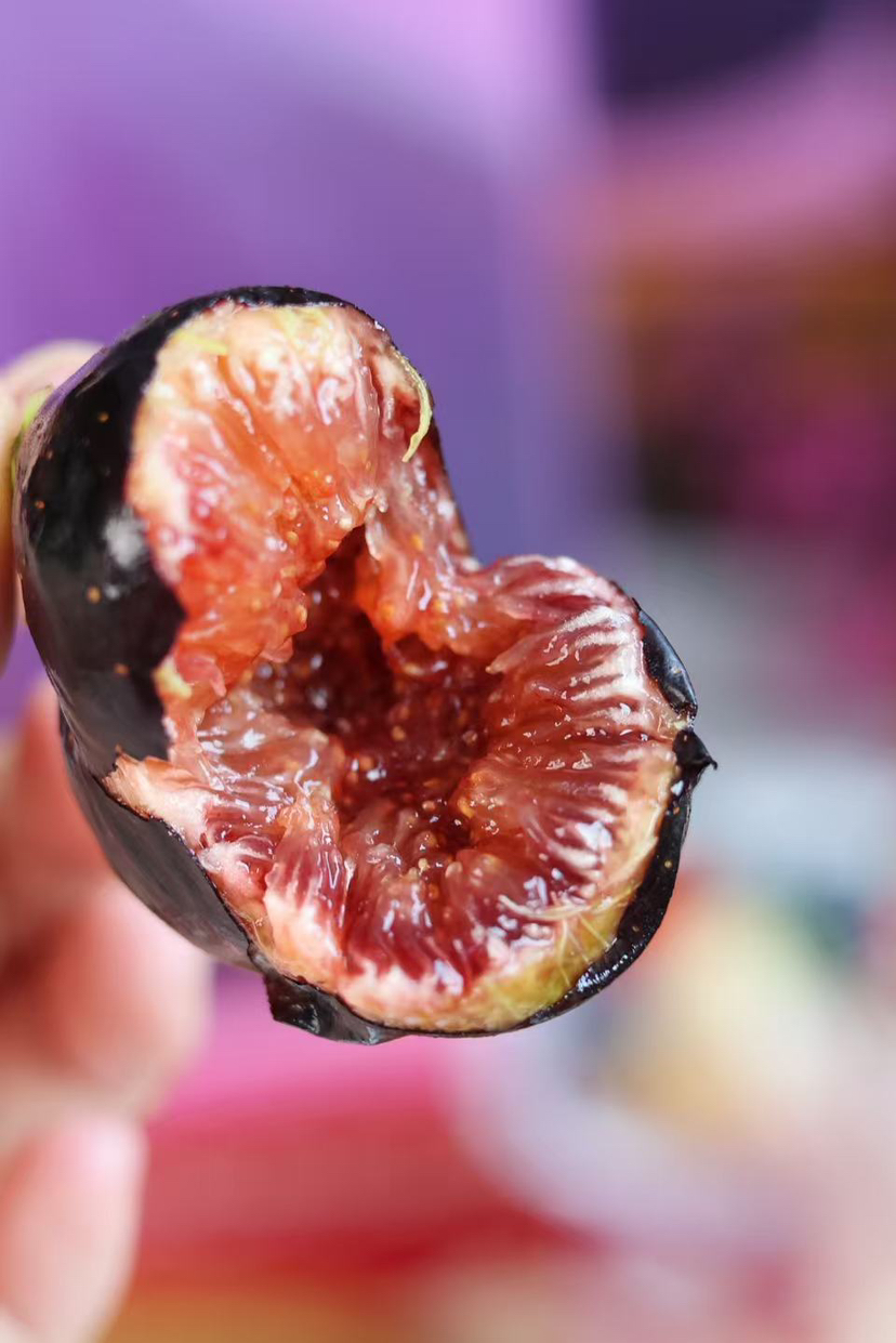 ✈️黑香蜜无花果[玫瑰][玫瑰]无花果 空运货。
有钱也不一定能吃上的空运货
天然黄体同，好东西哦～⚠️裂开 豹纹 流蜜不售后