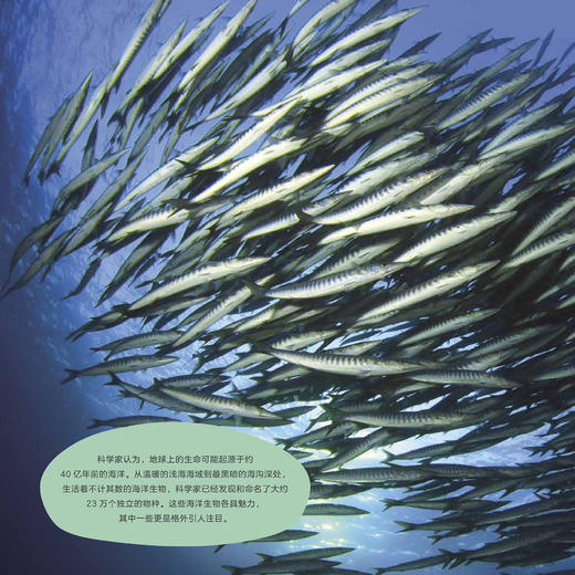 《蓝色星球Ⅱ》（全8册） 商品图13