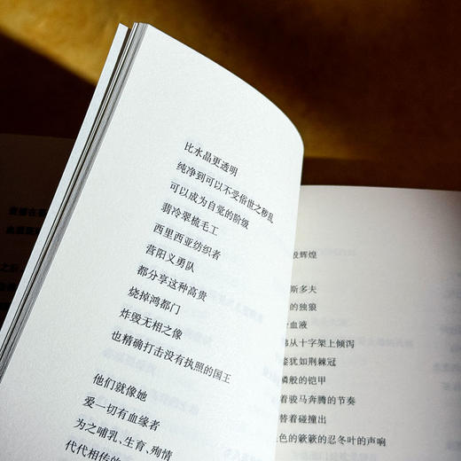 第九交响曲 伍维曦 诗歌集 六点图书 商品图9