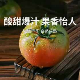 【碱地柿子】盘锦产地直发 盐碱地独特环境 果味醇厚 营养更充足 3-4斤装（单果75g）