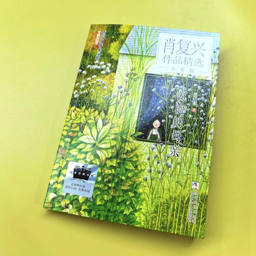 窗前的母亲 百班千人71期五年级5年级名师推荐课外书必读正版授权 商品图2