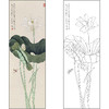 工笔画白描底稿于非闇花鸟荷花《荷花蜻蜓》临摹勾线高清打印稿FA48 商品缩略图0