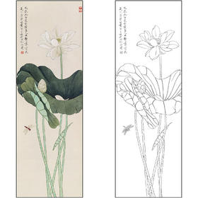 工笔画白描底稿于非闇花鸟荷花《荷花蜻蜓》临摹勾线高清打印稿FA48