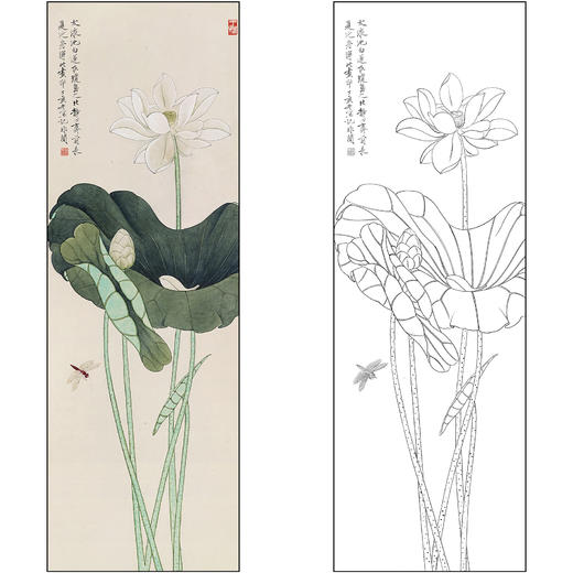 工笔画白描底稿于非闇花鸟荷花《荷花蜻蜓》临摹勾线高清打印稿FA48 商品图0