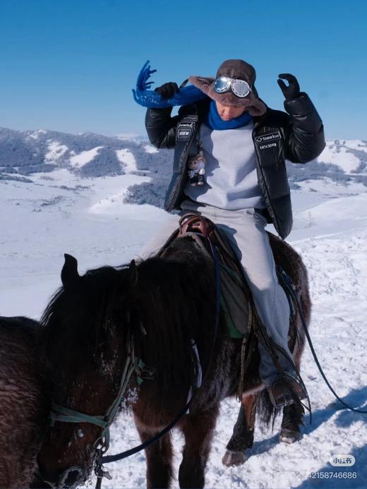 D112706新品皮羽绒字母微标印花图案立领宽松长袖羽绒服男女同款 商品图9