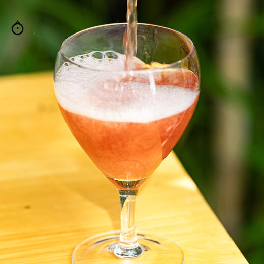 企鹅市集|首芳 李子苹果起泡酒 天然果酒 0香精不加水纯水果发酵  爆汁浆果香甜 商品图6