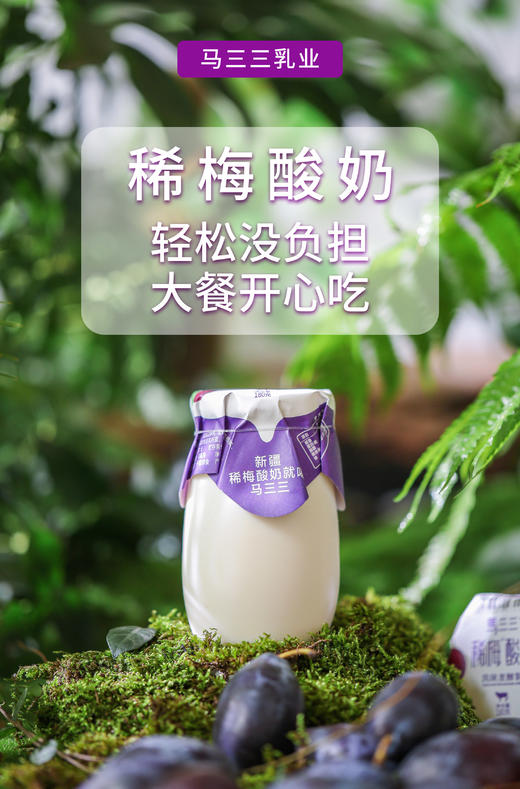 马三三·新疆稀梅小法兰西酸奶180g*12罐  新疆奶源 +喀什西梅 商品图2