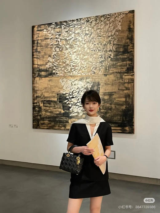 Dior 限量 勋章 四格 磨砂黑 牛皮 戴妃包 商品图3