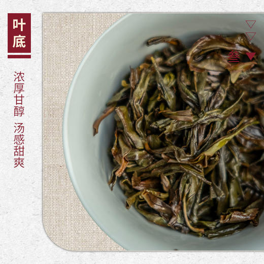 【山纯限品】2025年单丛系列026老仙翁25g 商品图4