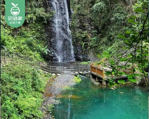 泉州永春|牛姆林青柳钱山庄轻奢房1间/1晚（周末不用补差）【叼生活】 商品图3