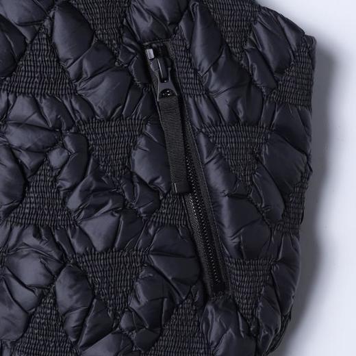 23955SDSA男士秋冬新款痞帅男装韩版简约鹅绒马甲拉链立领百搭时尚上衣 商品图4