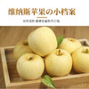 【维纳斯苹果】单果饱满 黄金成熟度 甜脆兼具 风味物质充足 4.5斤彩箱（8-12枚） 商品缩略图1