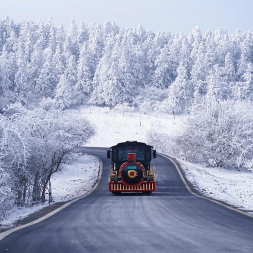 【穿越林海雪山】武隆仙女山国家森林公园·冬野徒步之旅 商品图1