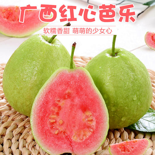 【奶油芭乐】果香与奶香交织 软糯清甜 果籽细小可食 老少皆宜 净重3斤 商品图2