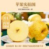【维纳斯苹果】单果饱满 黄金成熟度 甜脆兼具 风味物质充足 4.5斤彩箱（8-12枚） 商品缩略图2