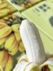 【2025新一批】山林深处藏珍果【吃海芒芒｜野生芭蕉🍌】果味浓郁，香甜无比，果肉Q弹滑嫩 商品缩略图4