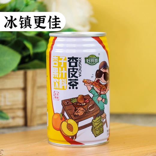 好食邦 杏皮茶 310ml/罐 商品图1