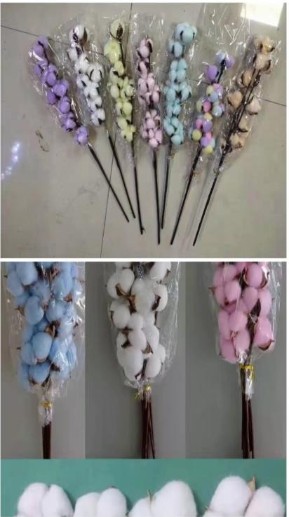 棉花--9头 商品图0