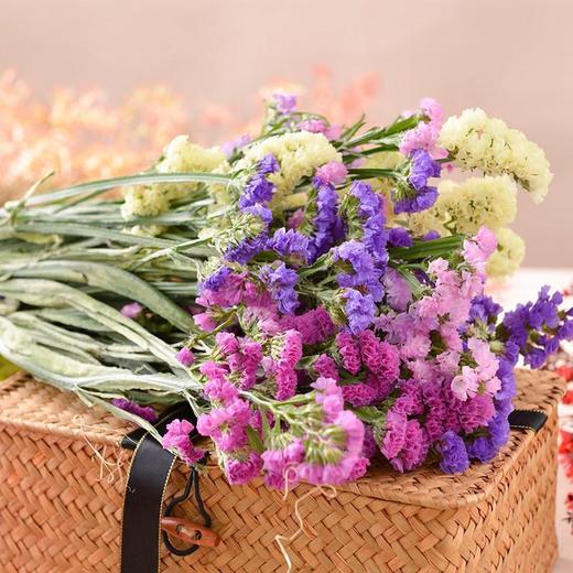 勿忘我鲜花花束/ 束 商品图0