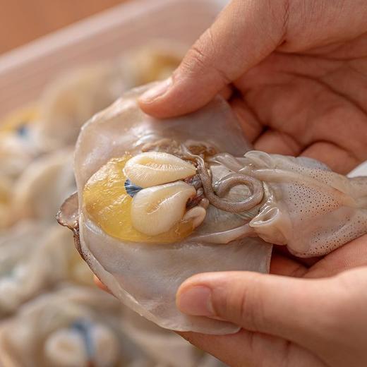 东海野生墨鱼宝 | 特级品质 舟山野生 鲜活捕捞 咸香美味 干净无沙 自然本味的鲜美 商品图1