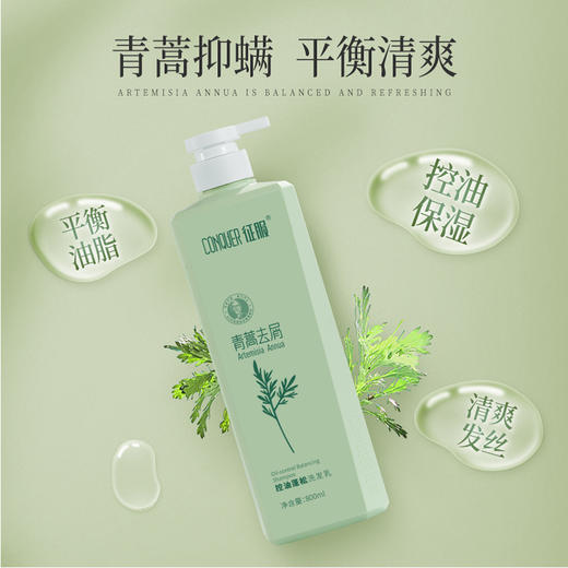 征服800ml 新升级 征服青蒿除螨生姜养护洗发水，滋养头皮，强韧发根润肤沐浴露，护发素改善脆弱发质、受损发丝 青蒿固发柔顺洗发系列 商品图1