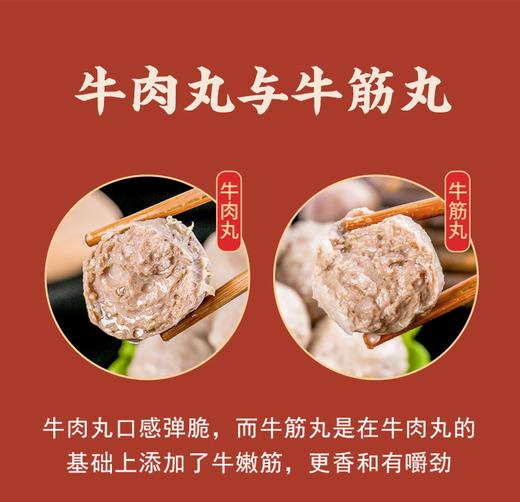 【2.7-2.23停止发货】潮汕牛肉丸牛筋丸套餐 潮汕特色美食 火锅好伴侣 商品图1