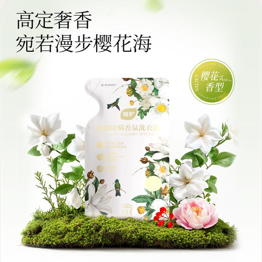 植护 除菌除螨香氛洗衣液（樱花香型） 500g*1袋 商品图2