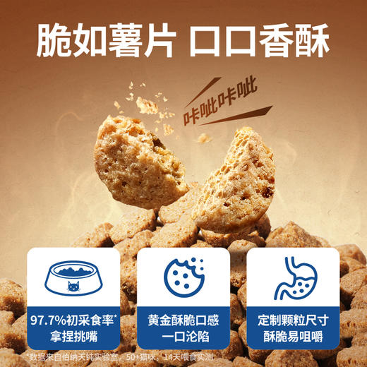 伯纳天纯全价酥化猫粮成猫幼猫通用粮鸡肉乳鸽高鲜肉营养易消化 商品图3